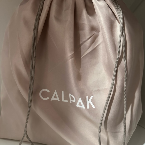 CalPak Large Backpack - Picture 4 of 6